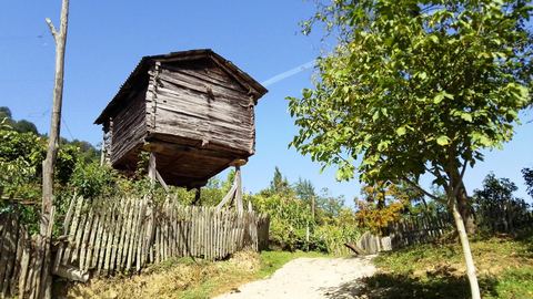Viele Häuser stehen leer, weil die Jugend in die Großstädte zieht.
