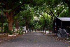 fgw-griechenland-garden-farboptimiert-1000px-2