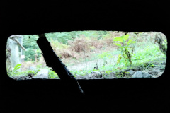 Exif_JPEG_420
